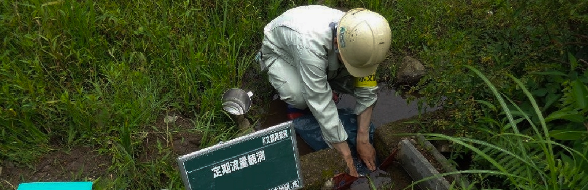 Environment